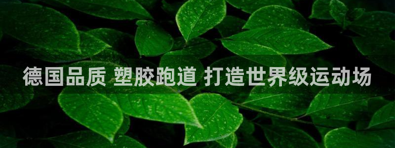 尊龙凯时网站赌愽做假吗