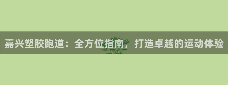 尊龙人生就是博登录首页：嘉兴塑胶跑道：全方位指南，打