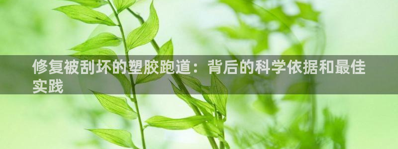 尊龙凯时账号异常审核提不了款怎么办：修复被刮坏的塑胶跑道：背后的科学依据和最佳
实践