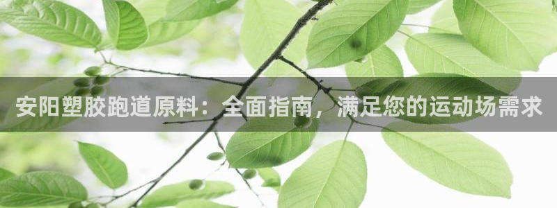 尊龙官网在哪里：安阳塑胶跑道原料：全面指南，满足您的